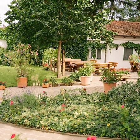 Hotel-Restaurant-Vinothek Felix Sommer Auersthal Luaran gambar
